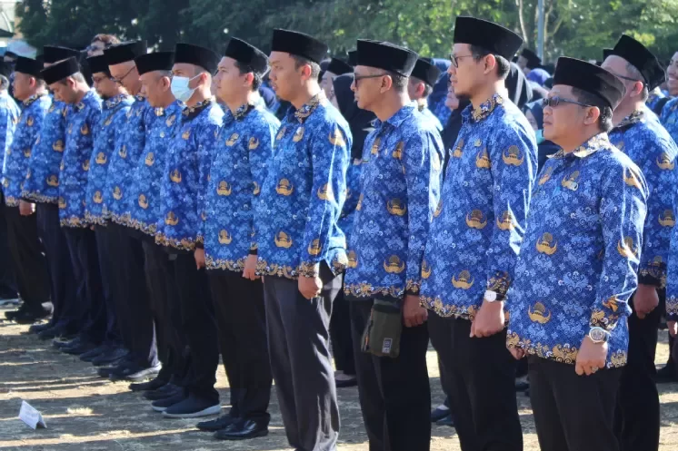 cpns pppk