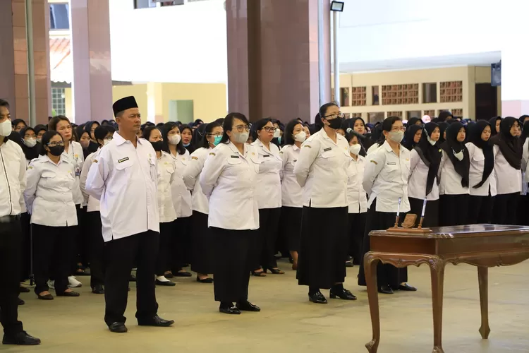 seragam pppk terbaru