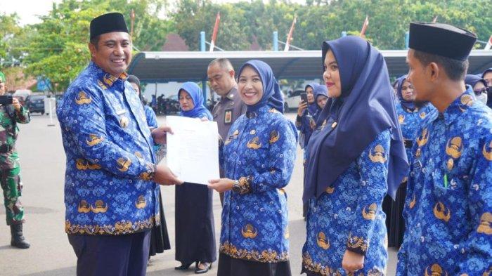 pppk guru kemendikbud