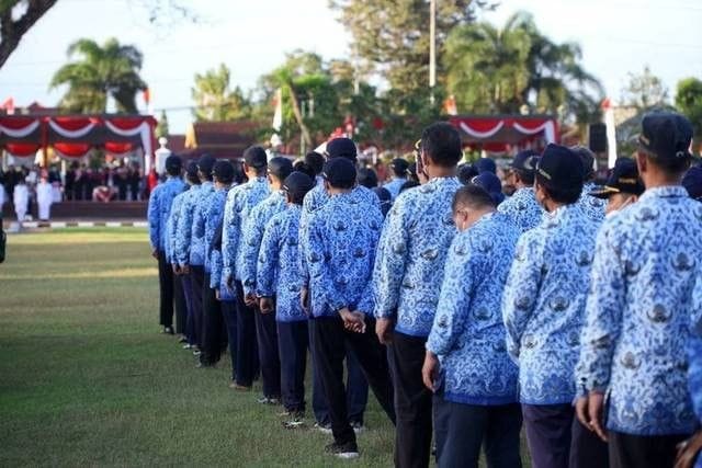 kp4 pppk