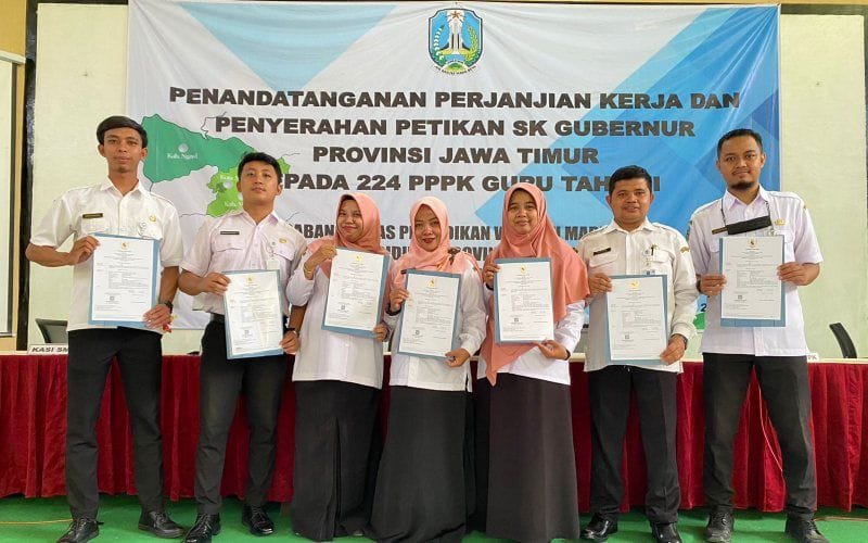 deskripsi diri pppk