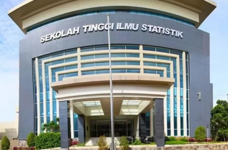 stis kerja apa