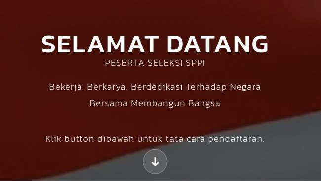 badan gizi nasional