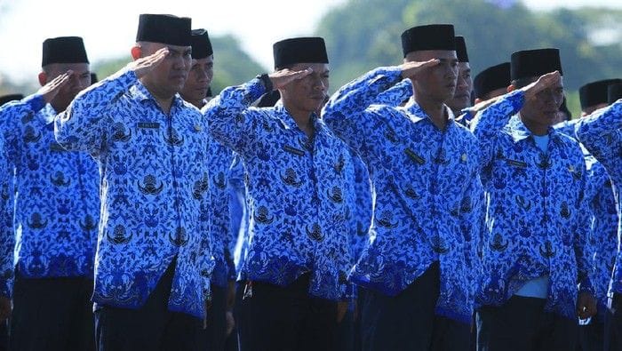 pppk jadi pns