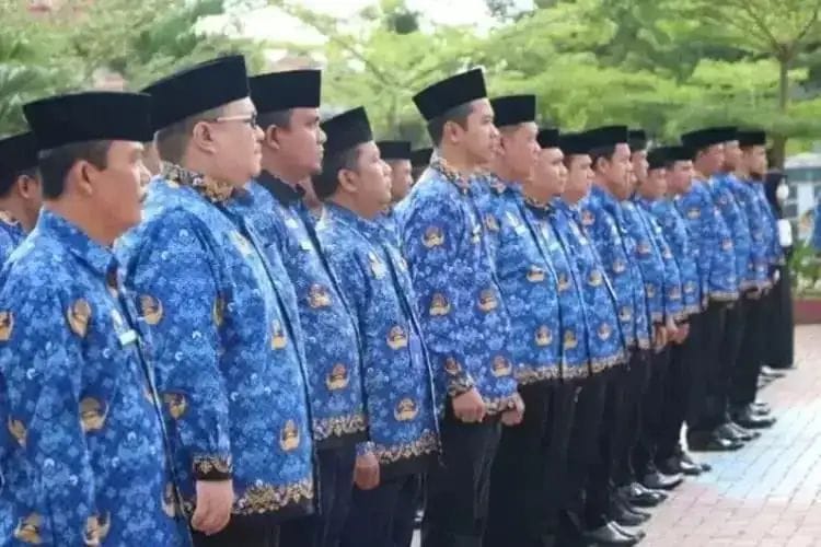 batas usia cpns