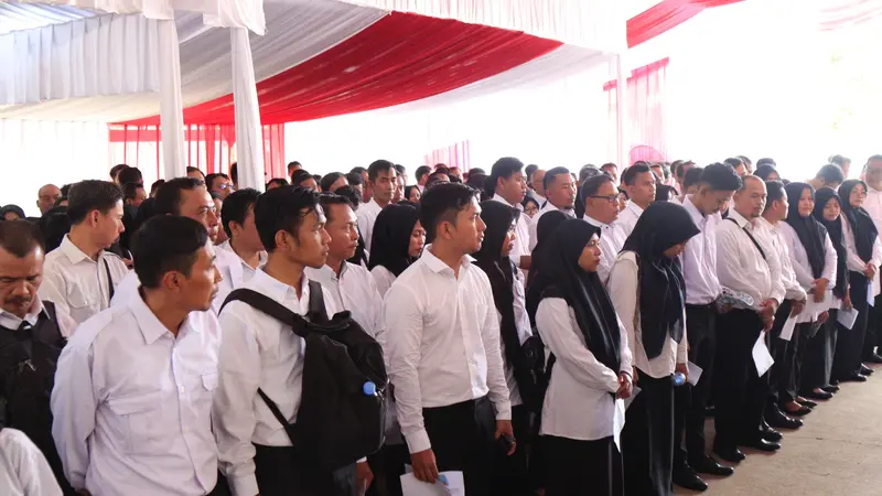 Nasib CPNS 2024