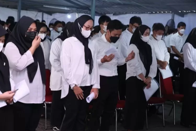yang tidak lolos seleksi pppk 2024