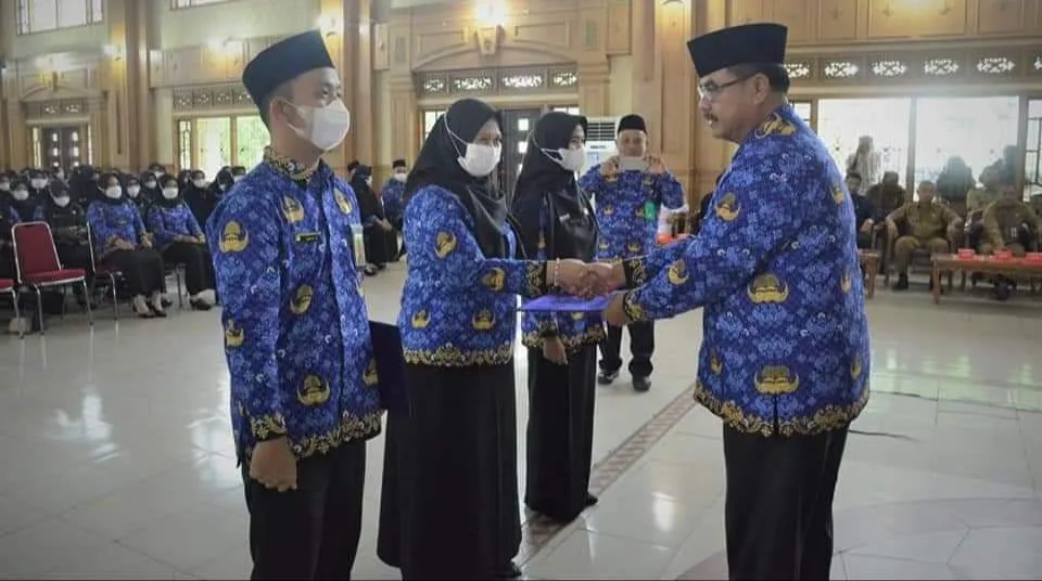 usulan penetapan nip pppk 2024