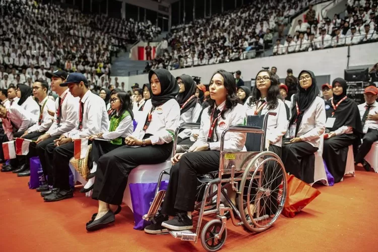 cpns jalur disabilitas