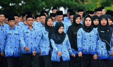 wfa untuk asn