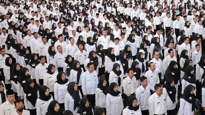 dirumahkan honorer yang gagal seleksi pppk