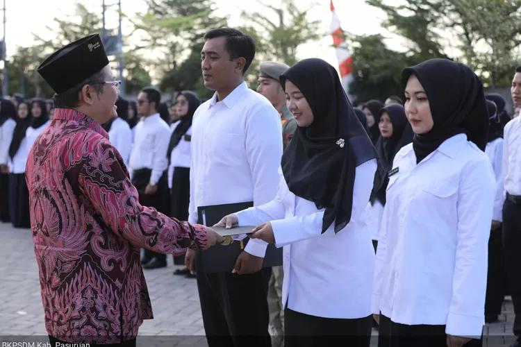 pengumuman lulus pppk tahap 2 2025