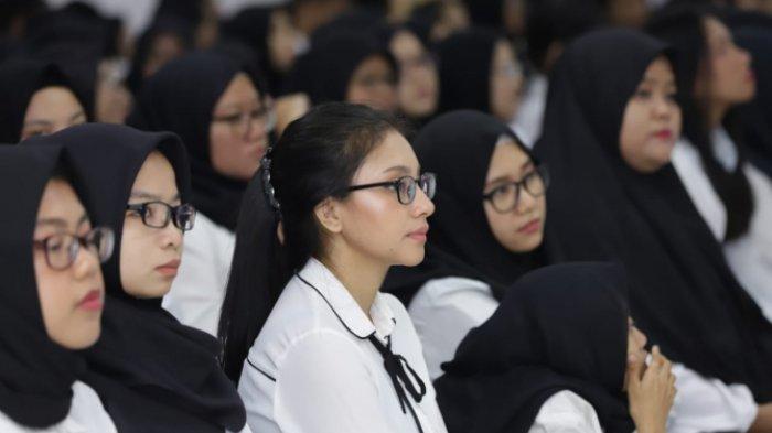 pembukaan seleksi cpns 2025