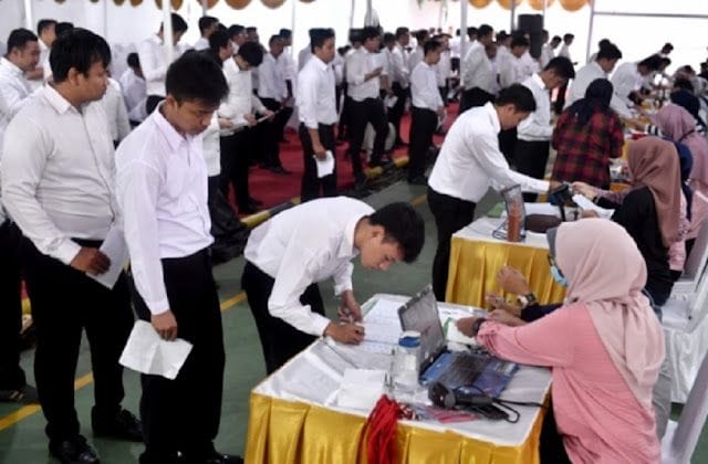 cara memilih formasi cpns