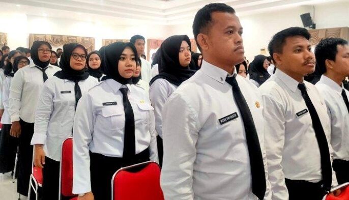 status pppk paruh waktu