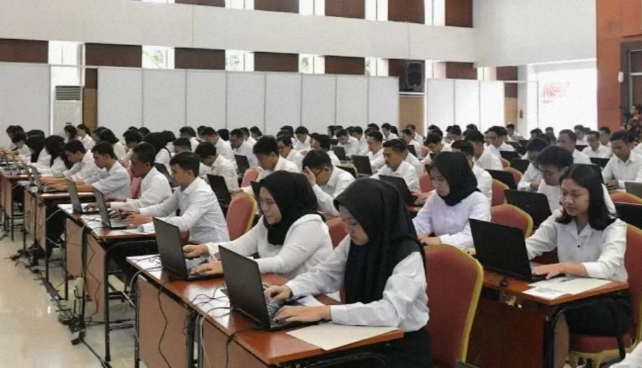 cek formasi cpns sesuai jurusan