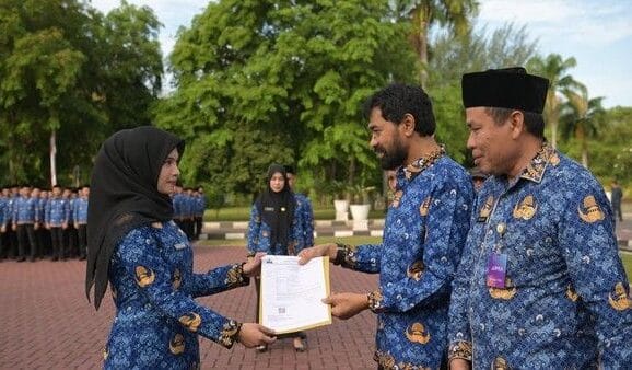 mekanisme penempatan pppk