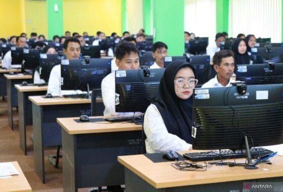 syarat ipk cpns jalur comlaude