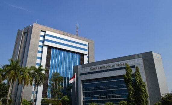 kebijakan bkn
