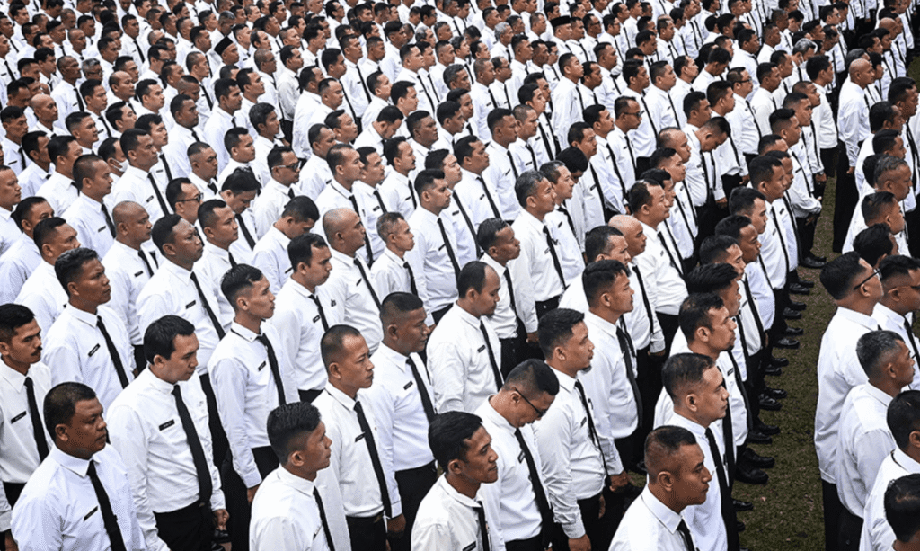 formasi cpns sosiologi
