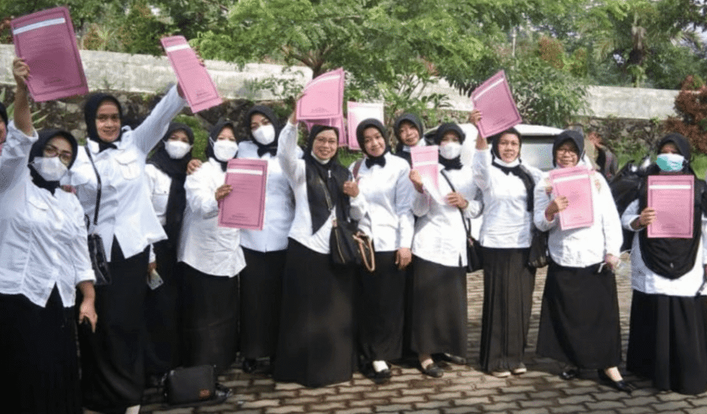 apa itu optimalisasi formasi pppk
