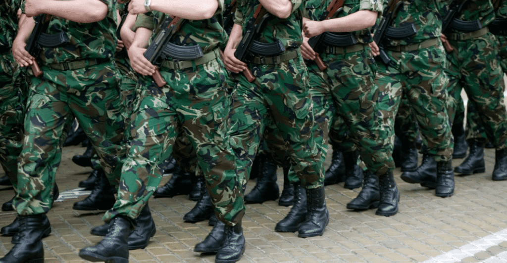 apa itu tni ad